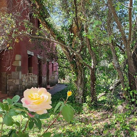 Apartamentos Rurales La Oropendola Jaraíz de la Vera Exterior foto