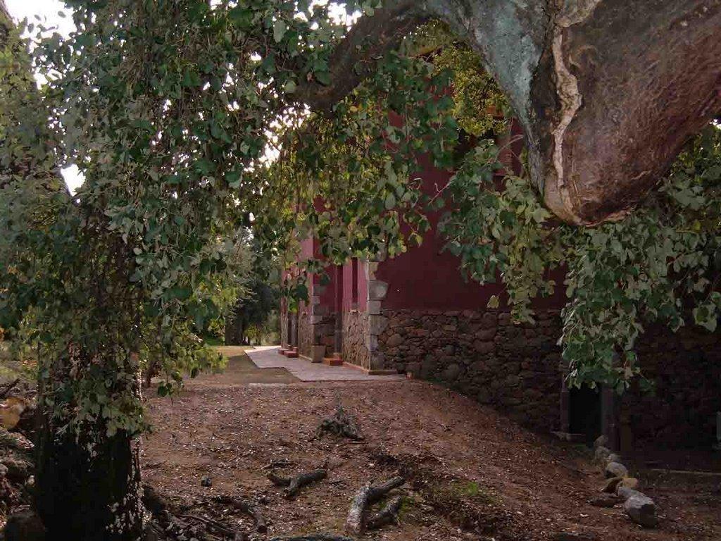Apartamentos Rurales La Oropendola Jaraíz de la Vera Exterior foto